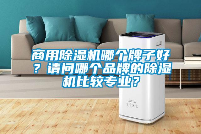 商用除濕機(jī)哪個(gè)牌子好？請(qǐng)問哪個(gè)品牌的除濕機(jī)比較專業(yè)？