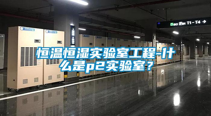 恒溫恒濕實驗室工程-什么是p2實驗室？