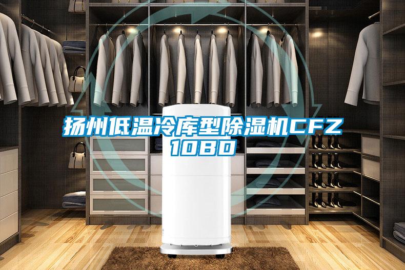 揚州低溫冷庫型除濕機CFZ10BD