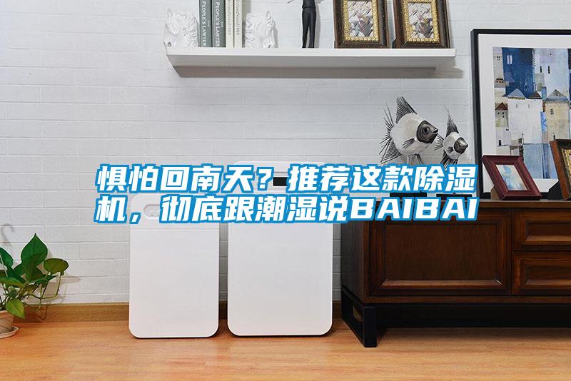 懼怕回南天？推薦這款除濕機，徹底跟潮濕說BAIBAI