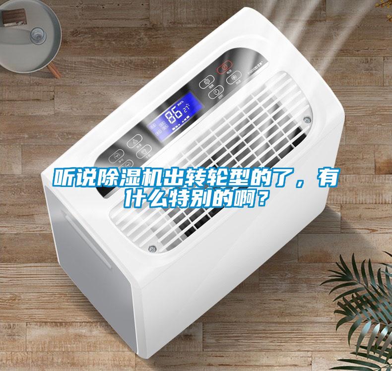 聽說除濕機出轉(zhuǎn)輪型的了，有什么特別的??？