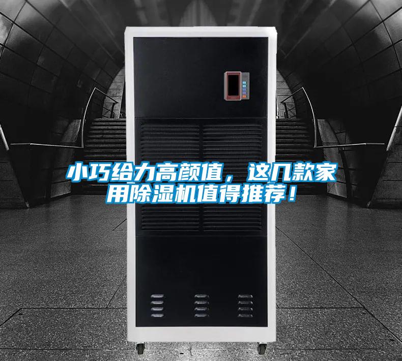小巧給力高顏值，這幾款家用除濕機(jī)值得推薦！