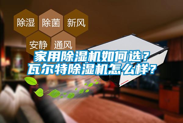 家用除濕機如何選？瓦爾特除濕機怎么樣？