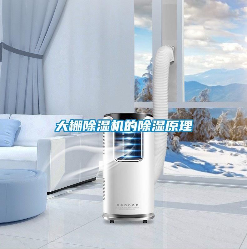 大棚除濕機(jī)的除濕原理