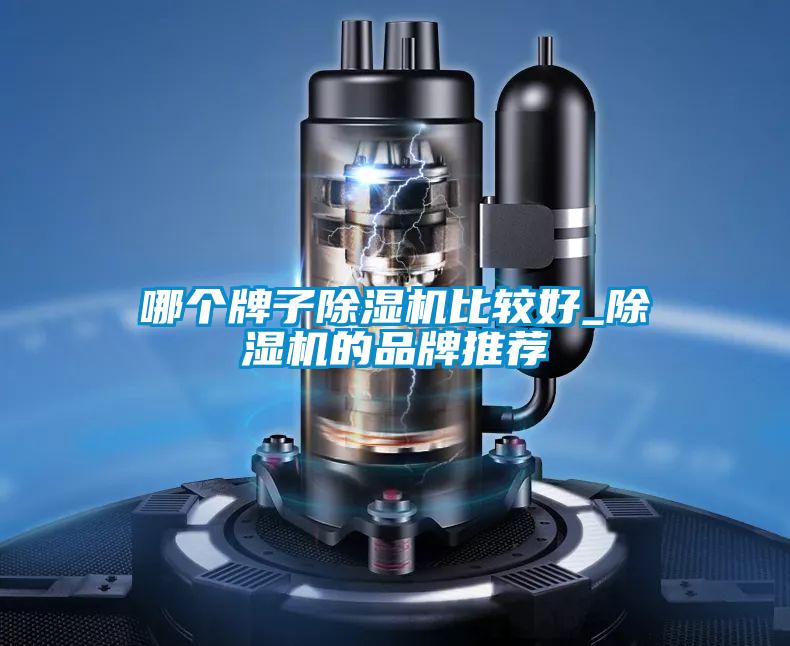 哪個牌子除濕機(jī)比較好_除濕機(jī)的品牌推薦