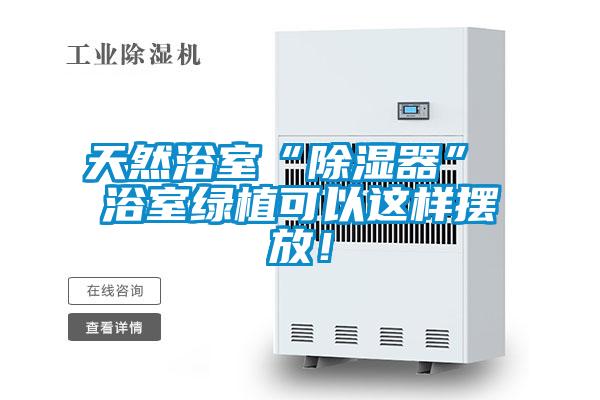 天然浴室“除濕器” 浴室綠植可以這樣擺放！