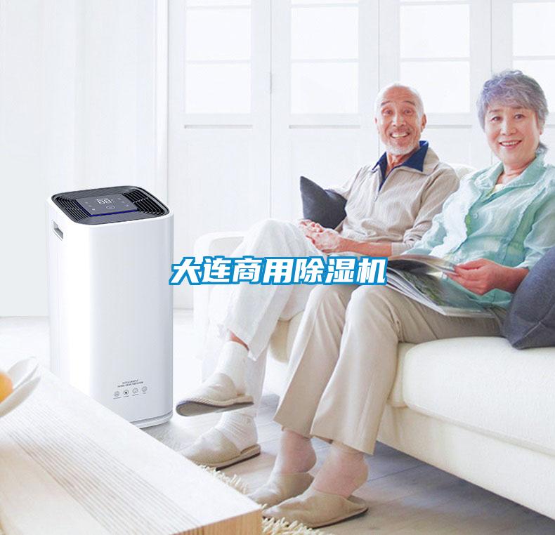 大連商用除濕機(jī)