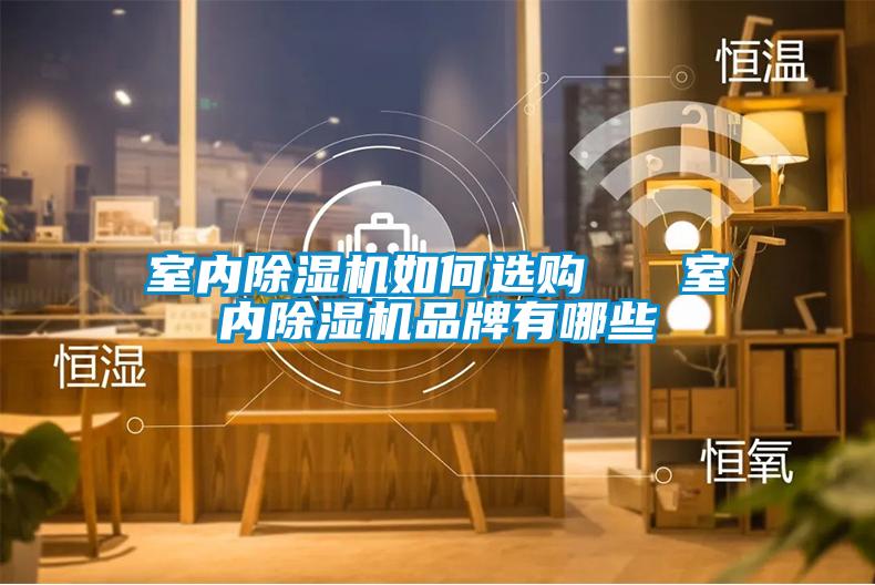 室內(nèi)除濕機(jī)如何選購(gòu)   室內(nèi)除濕機(jī)品牌有哪些