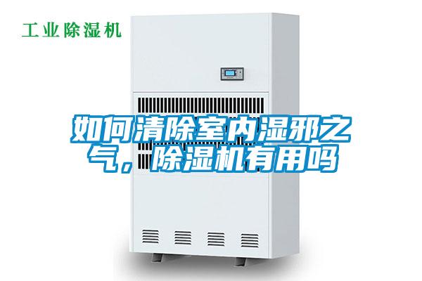 如何清除室內(nèi)濕邪之氣，除濕機(jī)有用嗎