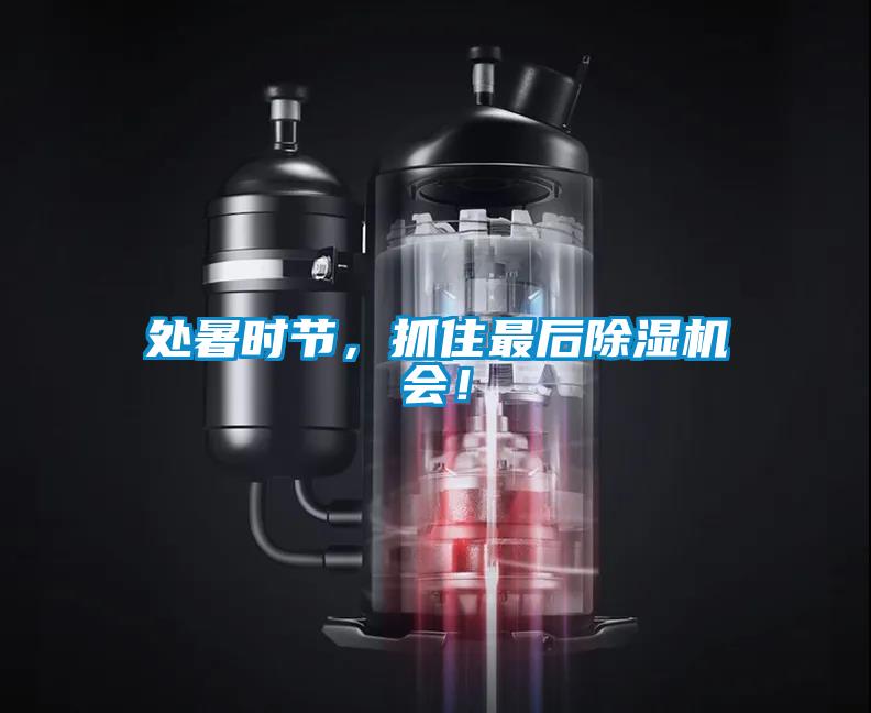 處暑時節(jié)，抓住最后除濕機會！