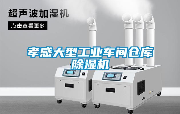 孝感大型工業(yè)車間倉庫除濕機(jī)
