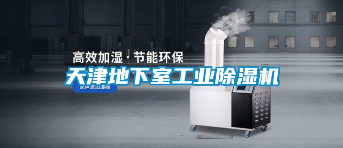 天津地下室工業(yè)除濕機