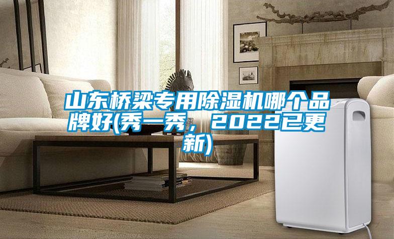 山東橋梁專用除濕機(jī)哪個品牌好(秀一秀，2022已更新)