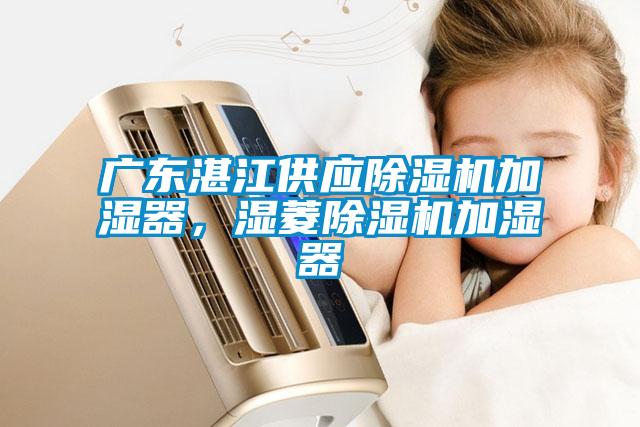 廣東湛江供應(yīng)除濕機(jī)加濕器，濕菱除濕機(jī)加濕器