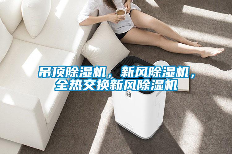吊頂除濕機，新風除濕機，全熱交換新風除濕機