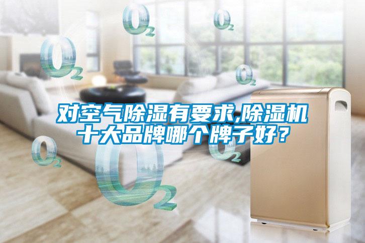 對空氣除濕有要求,除濕機(jī)十大品牌哪個牌子好？