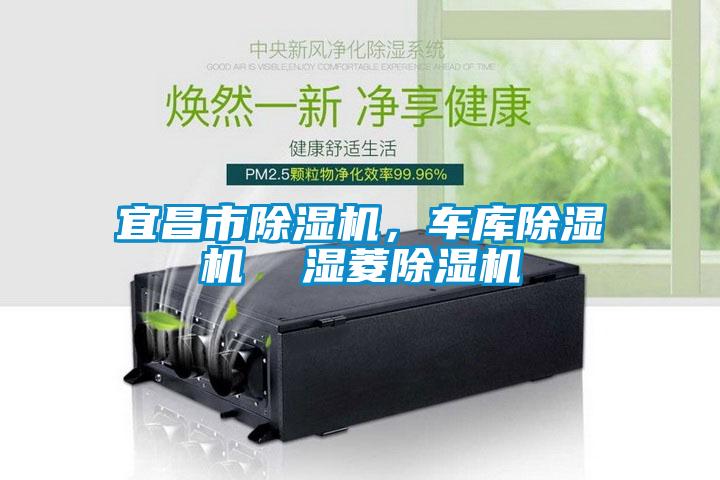 宜昌市除濕機(jī)，車庫(kù)除濕機(jī)  濕菱除濕機(jī)