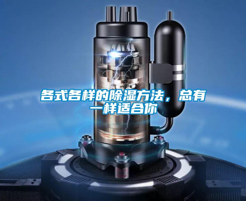 各式各樣的除濕方法，總有一樣適合你