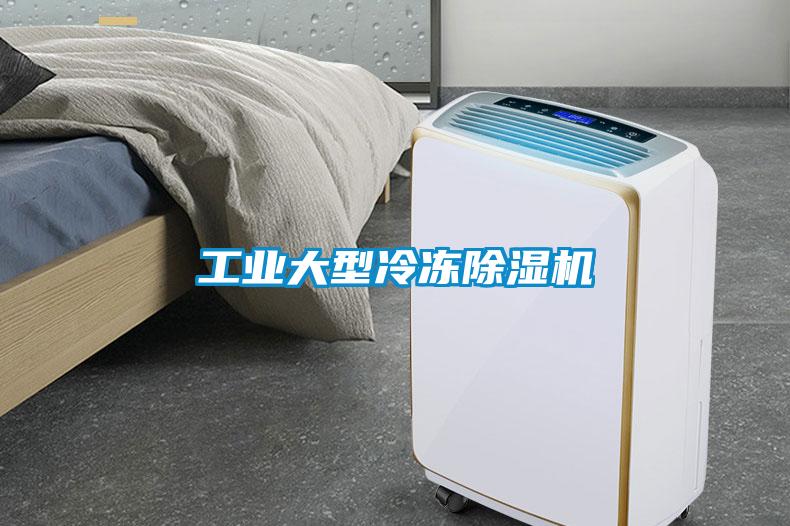 工業(yè)大型冷凍除濕機(jī)