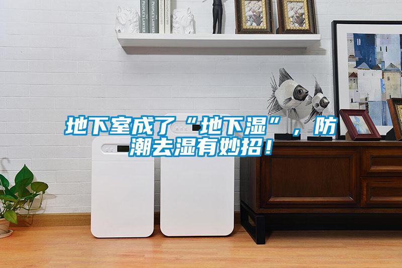 地下室成了“地下濕”，防潮去濕有妙招！