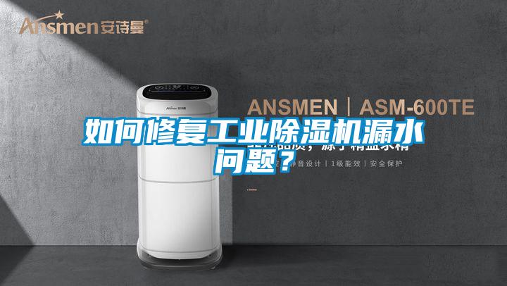 如何修復(fù)工業(yè)除濕機漏水問題？