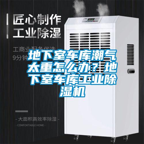 地下室車庫潮氣太重怎么辦？地下室車庫工業(yè)除濕機