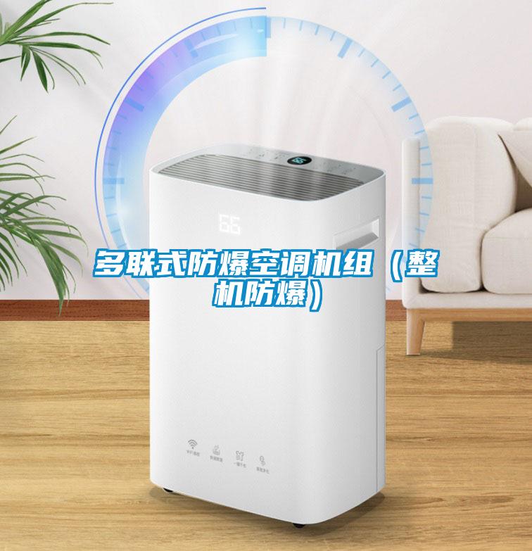 多聯式防爆空調機組（整機防爆）