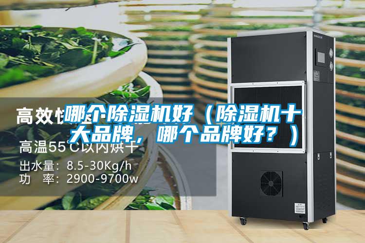 哪個(gè)除濕機(jī)好（除濕機(jī)十大品牌，哪個(gè)品牌好？）