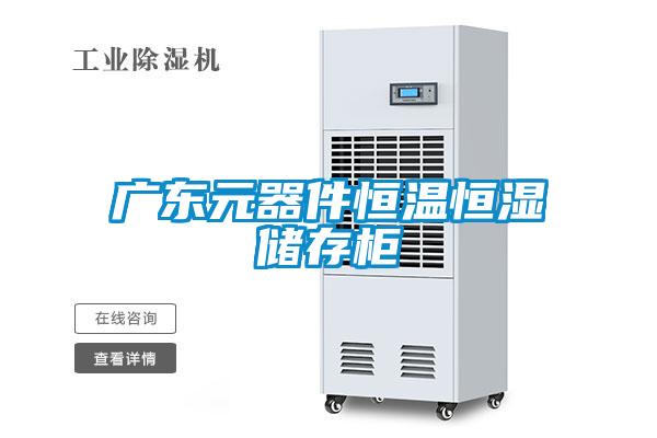 廣東元器件恒溫恒濕儲(chǔ)存柜