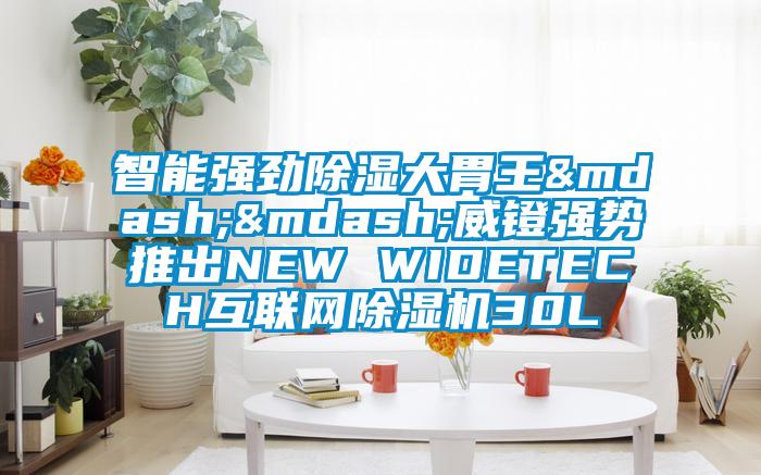 智能強(qiáng)勁除濕大胃王&mdash;&mdash;威鐙強(qiáng)勢推出NEW WIDETECH互聯(lián)網(wǎng)除濕機(jī)30L