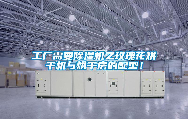 工廠需要除濕機之玫瑰花烘干機與烘干房的配型！