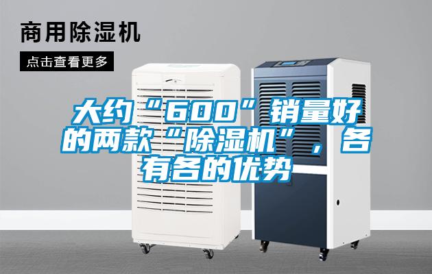 大約“600”銷(xiāo)量好的兩款“除濕機(jī)”，各有各的優(yōu)勢(shì)
