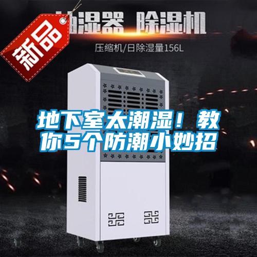 地下室太潮濕！教你5個防潮小妙招