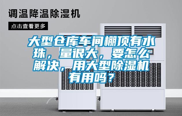 大型倉庫車間棚頂有水珠，量很大，要怎么解決，用大型除濕機(jī)有用嗎？