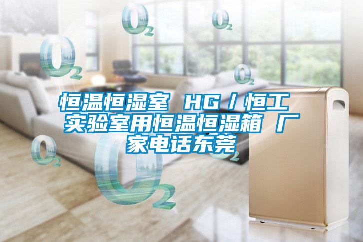 恒溫恒濕室 HG／恒工 實(shí)驗(yàn)室用恒溫恒濕箱 廠家電話東莞