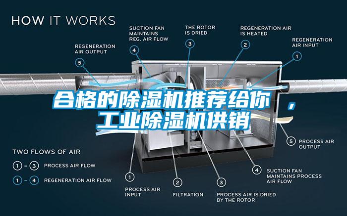 合格的除濕機推薦給你 ，工業(yè)除濕機供銷