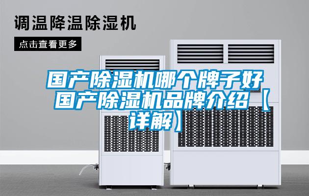 國(guó)產(chǎn)除濕機(jī)哪個(gè)牌子好 國(guó)產(chǎn)除濕機(jī)品牌介紹【詳解】