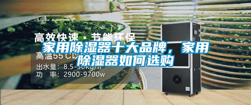 家用除濕器十大品牌，家用除濕器如何選購(gòu)