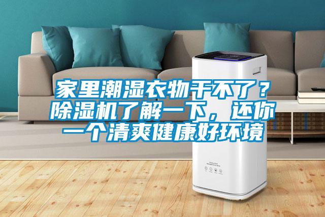 家里潮濕衣物干不了？除濕機(jī)了解一下，還你一個(gè)清爽健康好環(huán)境