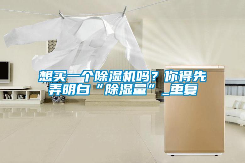 想買一個(gè)除濕機(jī)嗎？你得先弄明白“除濕量”_重復(fù)