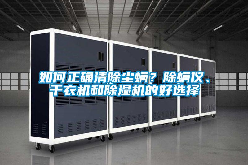 如何正確清除塵螨？除螨儀、干衣機(jī)和除濕機(jī)的好選擇