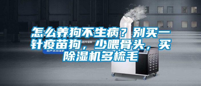 怎么養(yǎng)狗不生??？別買一針疫苗狗，少喂骨頭，買除濕機多梳毛