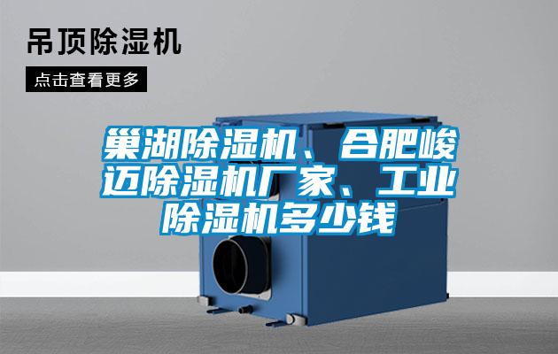 巢湖除濕機(jī)、合肥峻邁除濕機(jī)廠家、工業(yè)除濕機(jī)多少錢