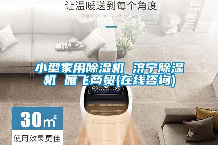 小型家用除濕機(jī) 濟(jì)寧除濕機(jī) 雁飛商貿(mào)(在線(xiàn)咨詢(xún))