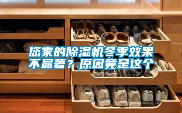 您家的除濕機冬季效果不顯著？原因竟是這個
