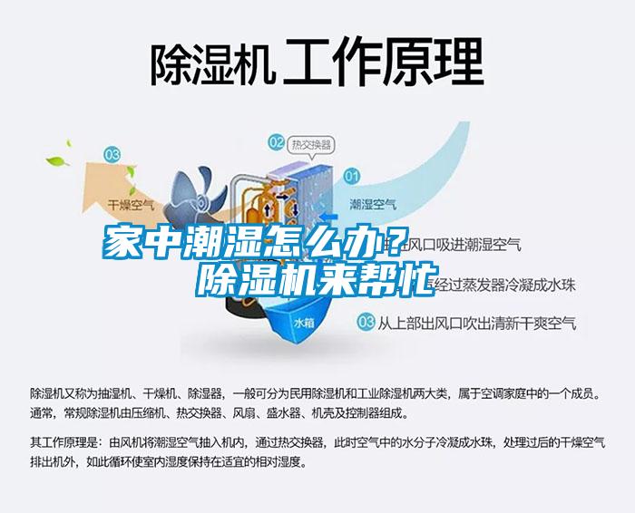 家中潮濕怎么辦？    除濕機(jī)來(lái)幫忙