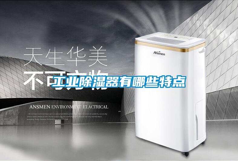 工業(yè)除濕器有哪些特點(diǎn)