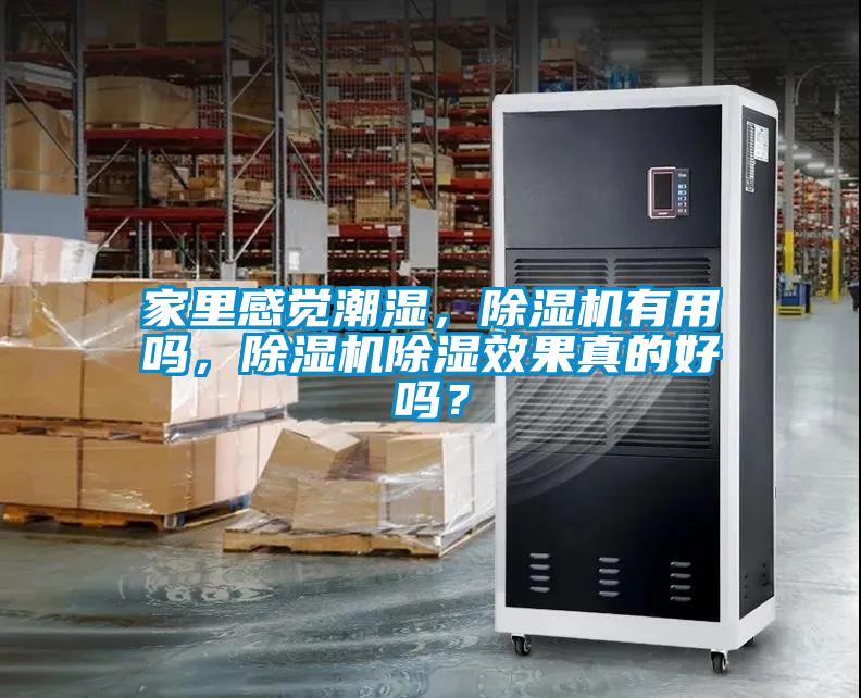 家里感覺潮濕，除濕機有用嗎，除濕機除濕效果真的好嗎？