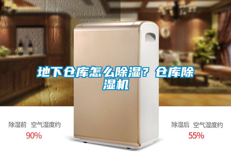 地下倉庫怎么除濕？倉庫除濕機