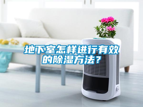 地下室怎樣進行有效的除濕方法？